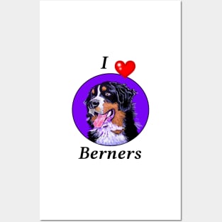 I LOVE BERNERS CARTOON PURPLE Posters and Art